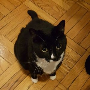 Meet your Posher, Mosezeller